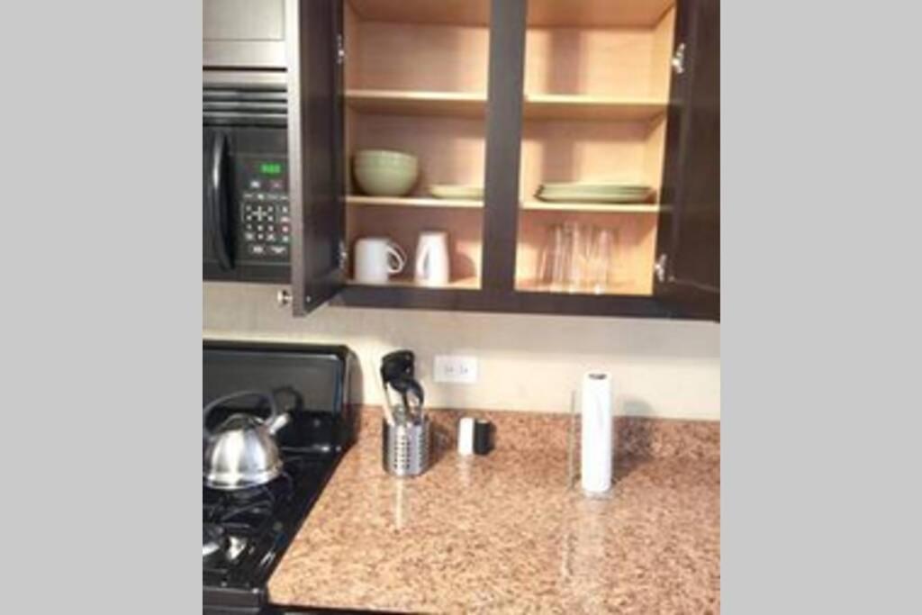 Entire Modern 2 Bedroom Apartment Chicago Eksteriør billede